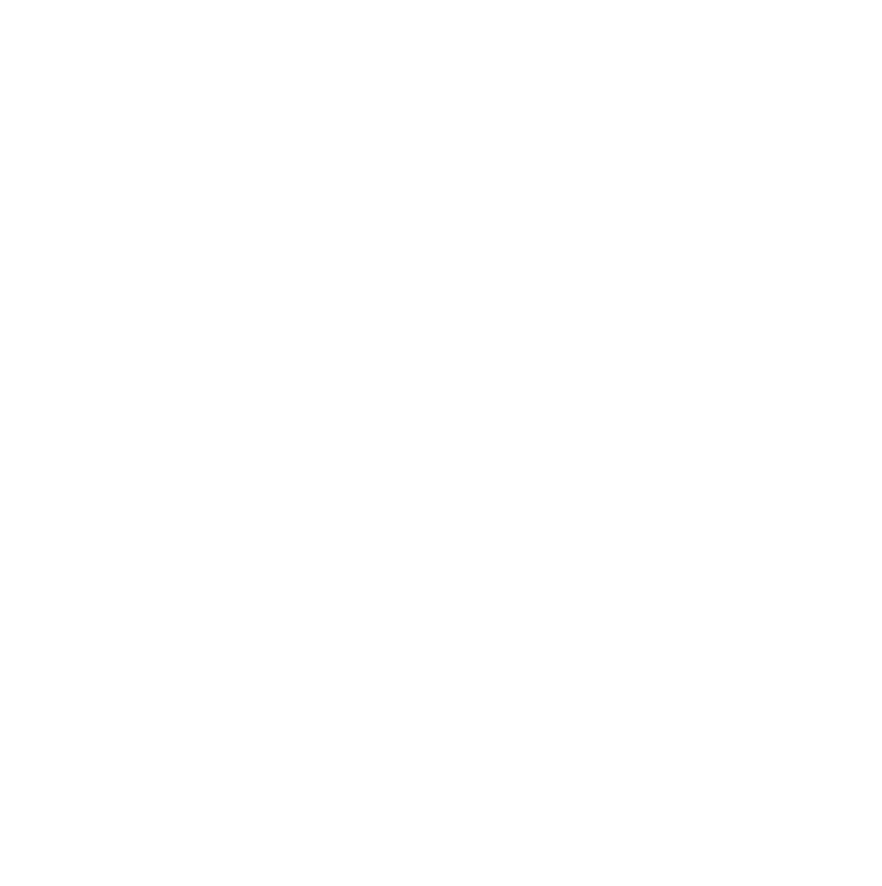 whatsApp logo branco