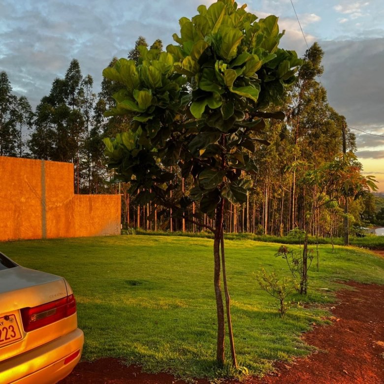 casa no km 16 minga guazu